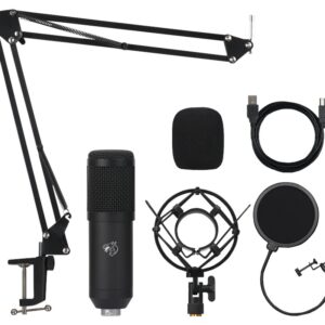 Micrófono Shenlong SM-ARM909